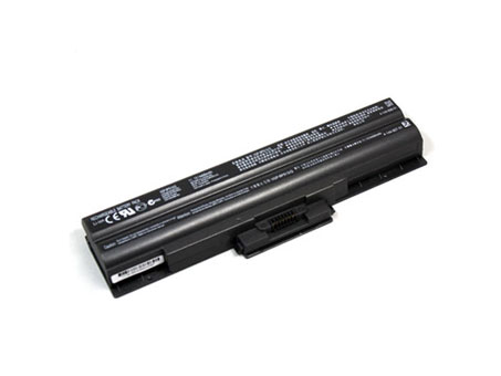 6 Cell Black Sony VGP-BPS13A/B VGP-BPS13A/Q VGP-BPS13A/S Battery - Click Image to Close